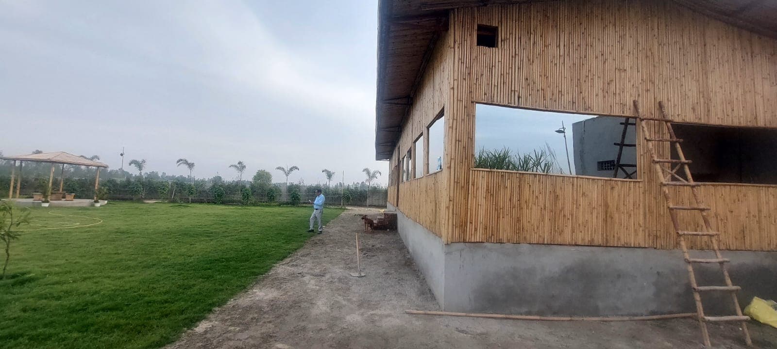 New Progress 7
